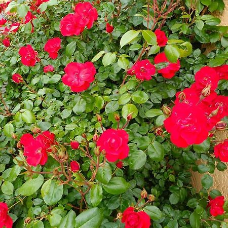 La Maison Des Roses Chadrac Exterior photo